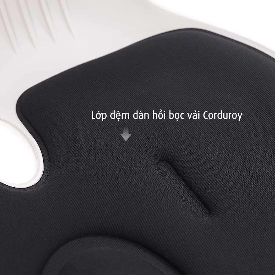 Ghế Chỉnh Dáng Ngồi Đúng Roichen cho Nam