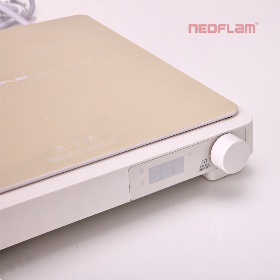 Bếp từ đơn Fika