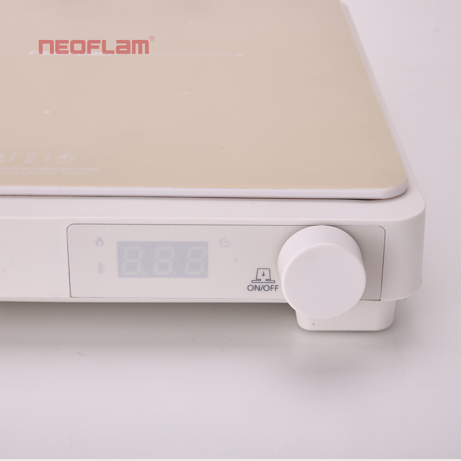 Bếp từ đơn Fika