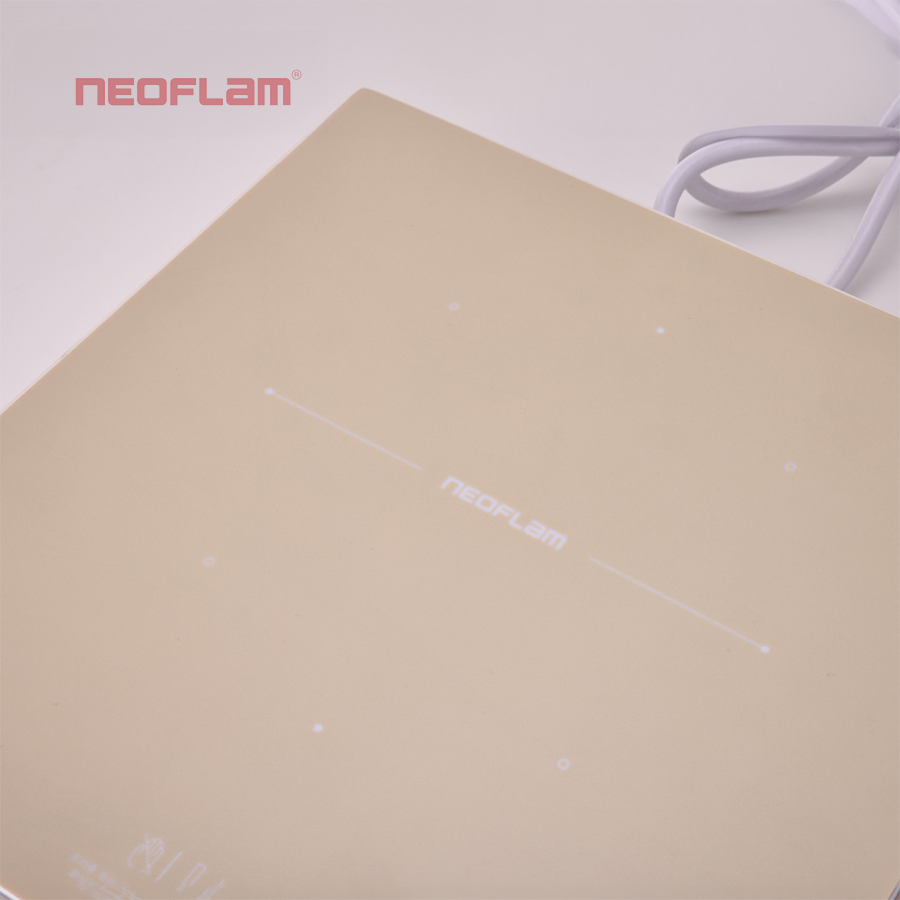 Bếp từ đơn Fika