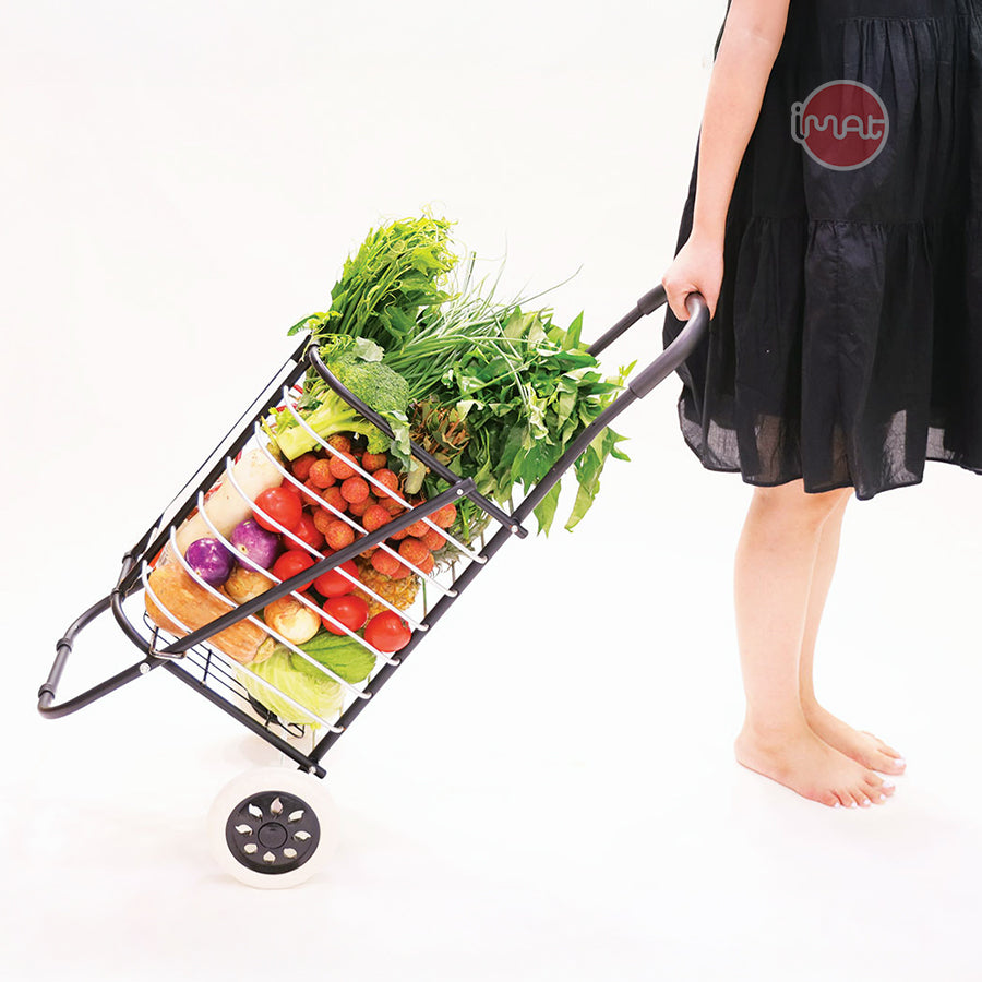 Xe chở hàng đi chợ đa năng Flana