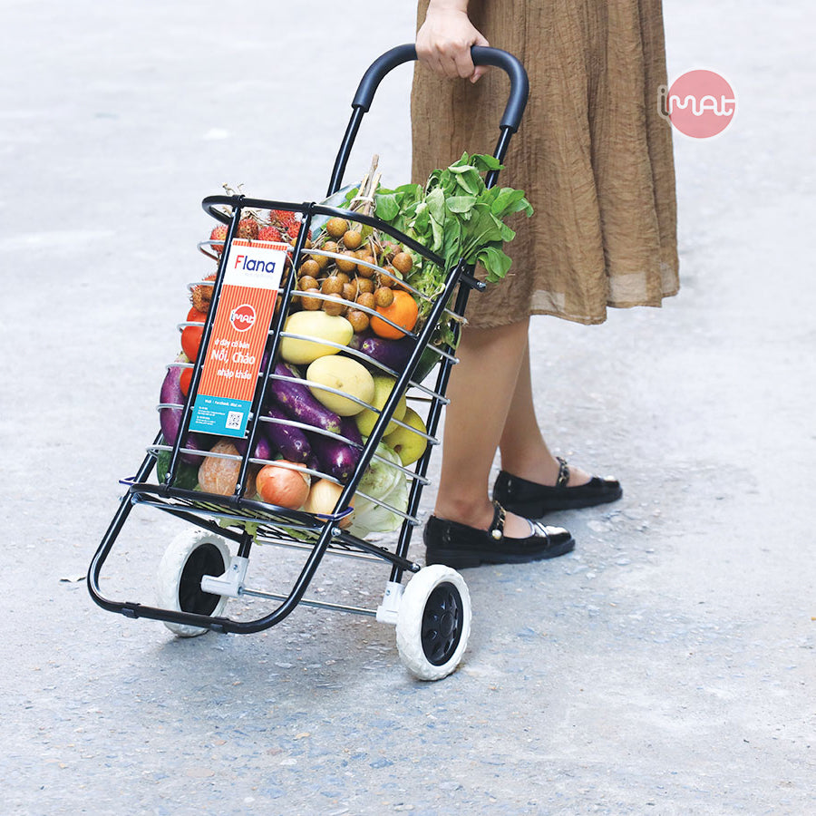 Xe chở hàng đi chợ đa năng Flana