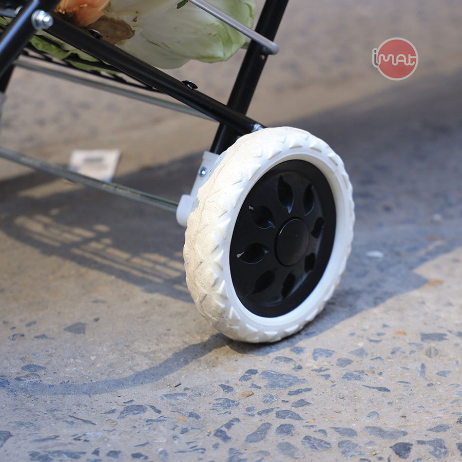 Xe chở hàng đi chợ đa năng Flana