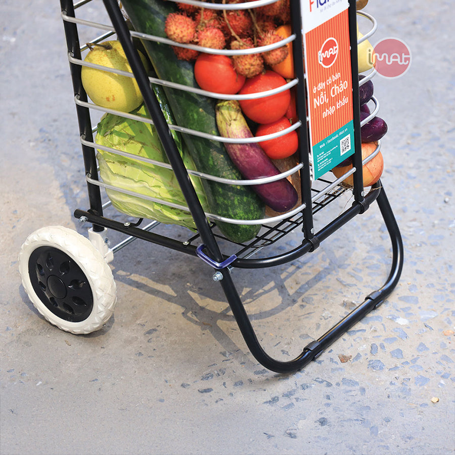 Xe chở hàng đi chợ đa năng Flana