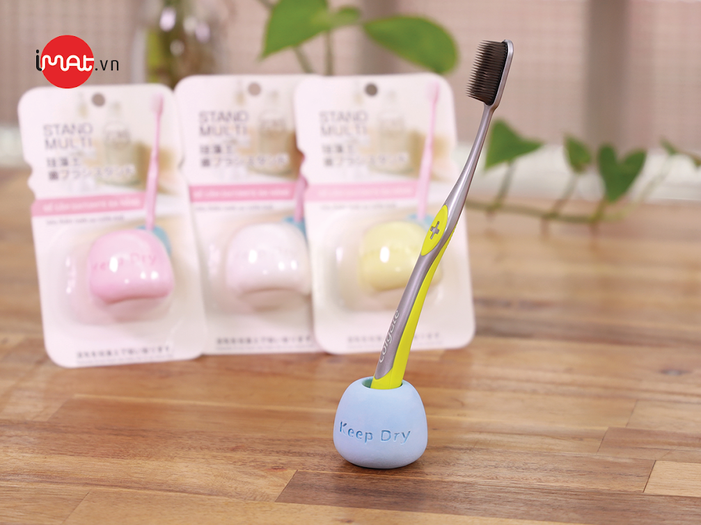 Đế cắm Diatomite đa năng