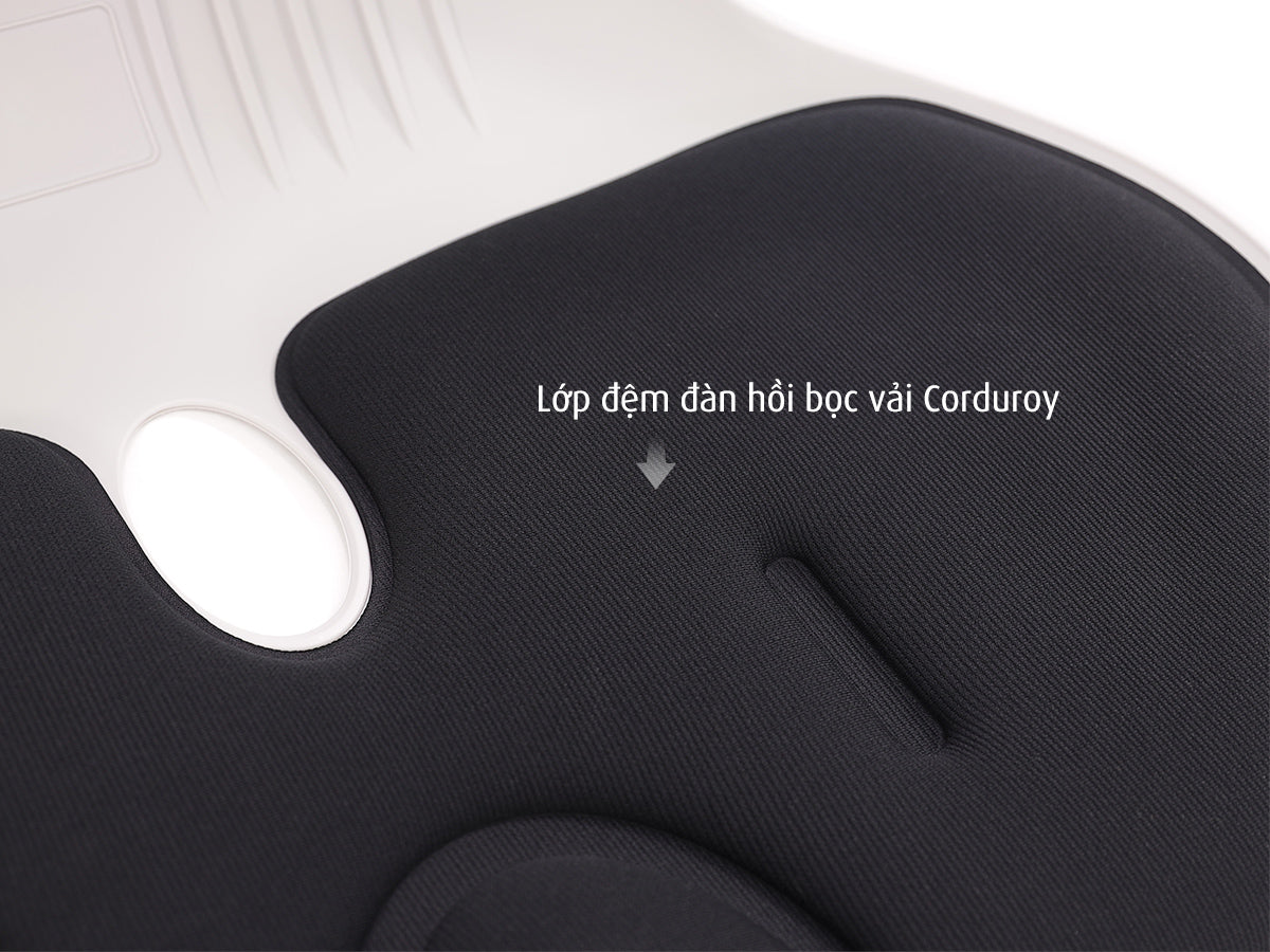 Combo Ghế chỉnh dáng ngồi đúng gia đình Roichen