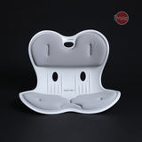 Ghế chỉnh dáng ngồi đúng Roichen Giant