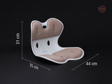 Ghế chỉnh dáng ngồi đúng Roichen Giant