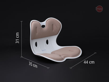 Ghế chỉnh dáng ngồi đúng Roichen Giant