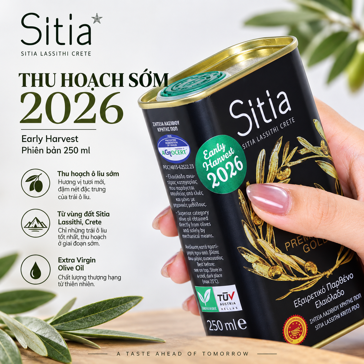 Dầu Ô liu nguyên chất cao cấp Sitia