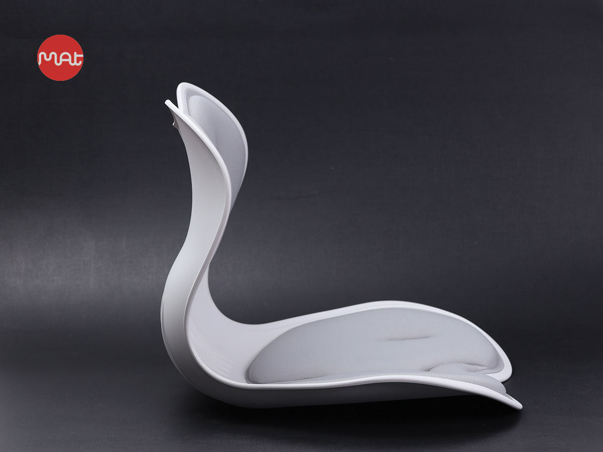 Ghế chỉnh dáng ngồi đúng Roichen Giant