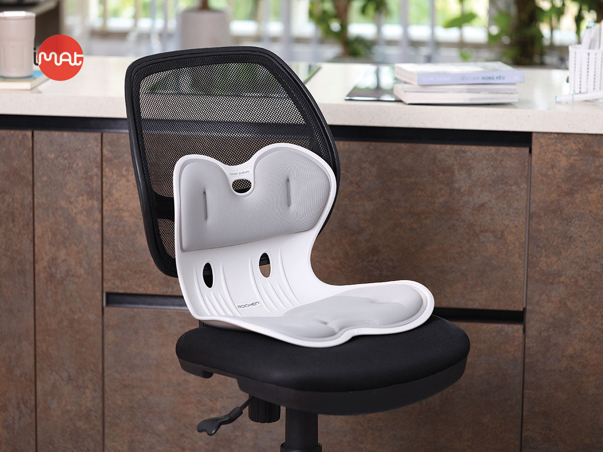 Ghế chỉnh dáng ngồi đúng Roichen Giant