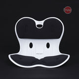 Ghế chỉnh dáng ngồi đúng Roichen Giant