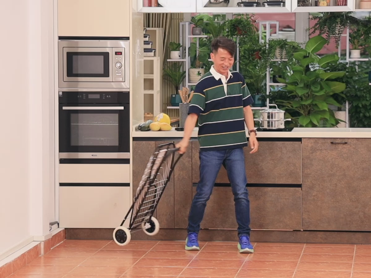 Xe chở hàng đi chợ đa năng Flana