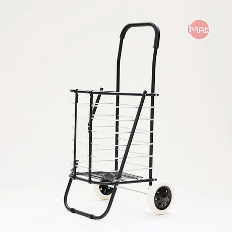 Xe chở hàng đi chợ đa năng Flana