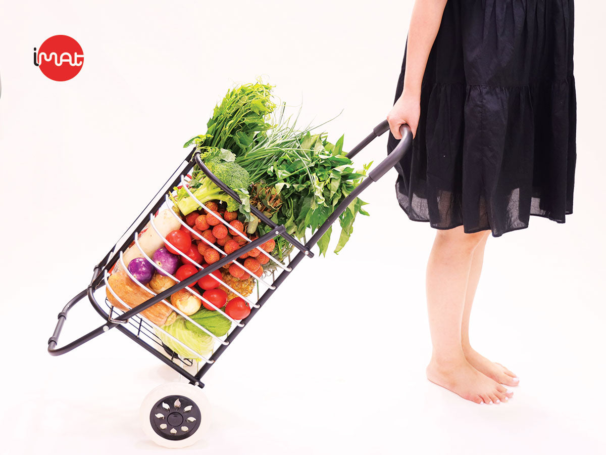 Xe chở hàng đi chợ đa năng Flana