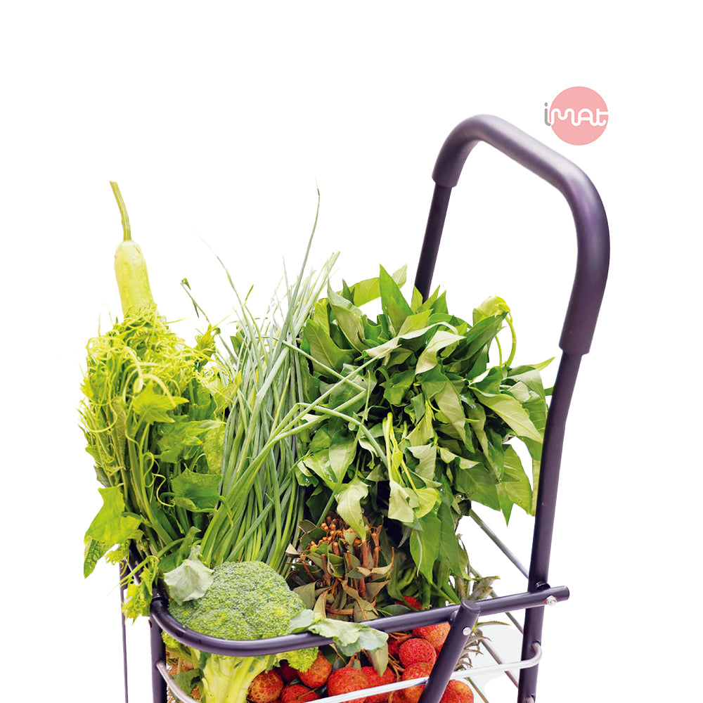 Xe chở hàng đi chợ đa năng Flana