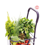 Xe chở hàng đi chợ đa năng Flana