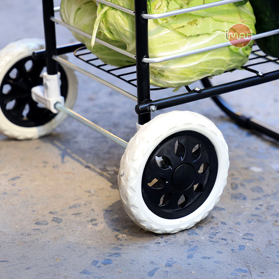 Xe chở hàng đi chợ đa năng Flana