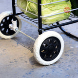 Xe chở hàng đi chợ đa năng Flana