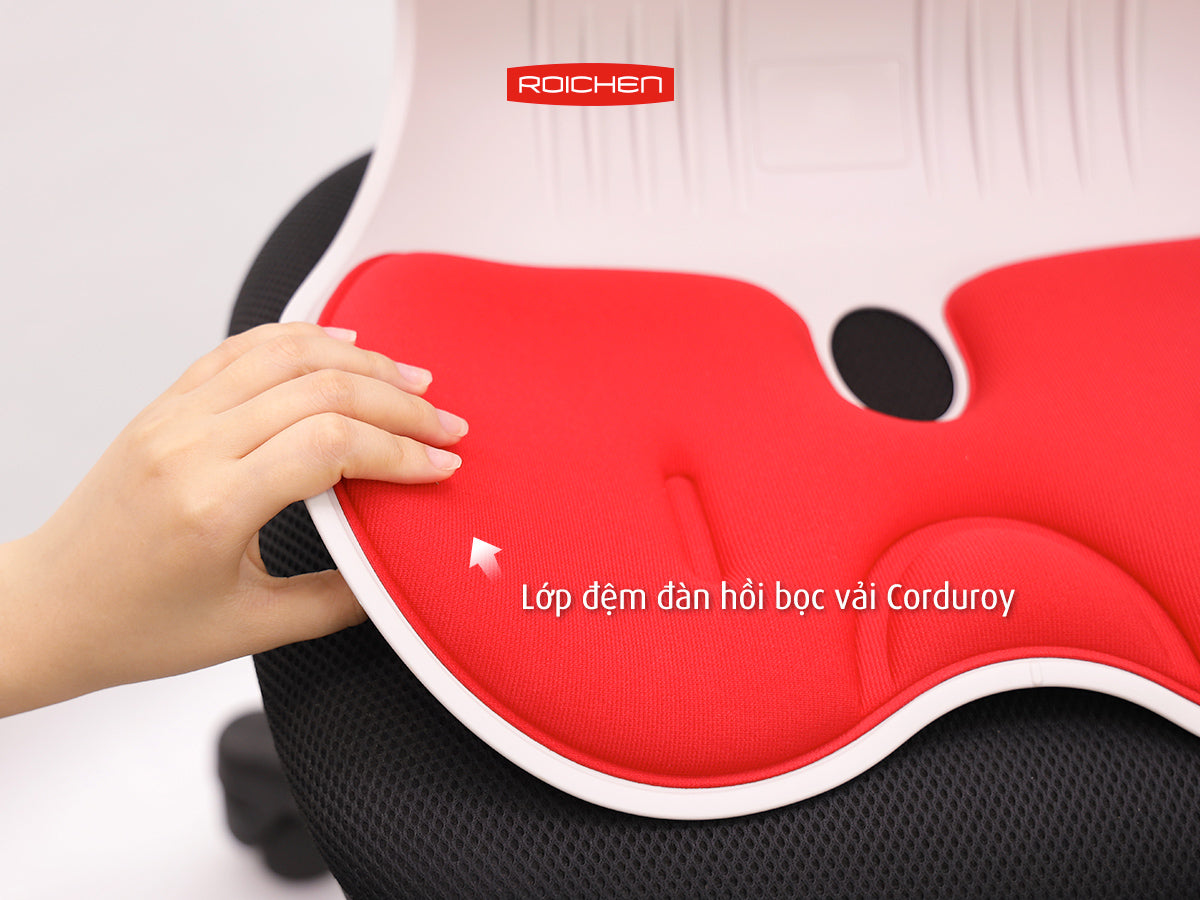 Combo Ghế chỉnh dáng ngồi đúng gia đình Roichen